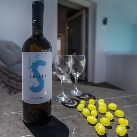 Geomilos Deluxe Apartamento Triovasálos